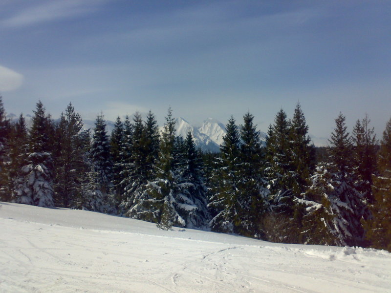 15032009045.jpg