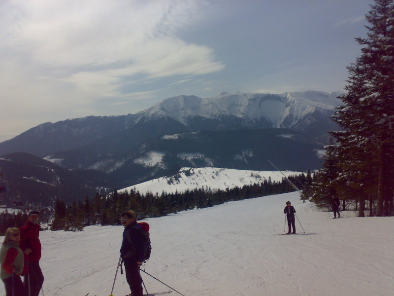 15032009075.jpg