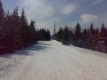 15032009046.jpg
