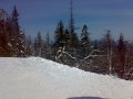 15032009055.jpg
