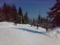 15032009072.jpg