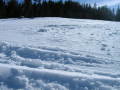 DSCN5094.JPG