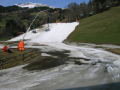 DSCN5124.JPG