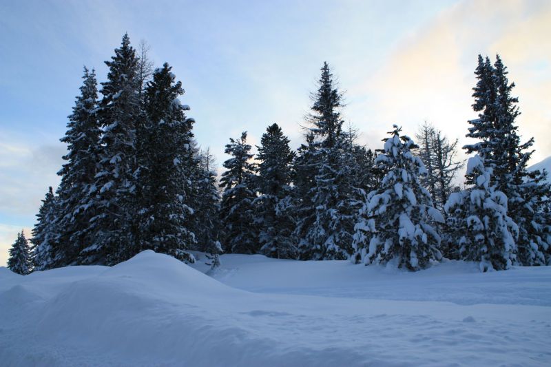 IMG-0300.jpg