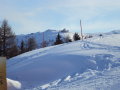 DSC00487.JPG