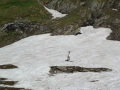 DSC01516.JPG