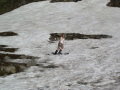 DSC01517.JPG