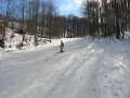 2012Februar24BankutKek.jpg