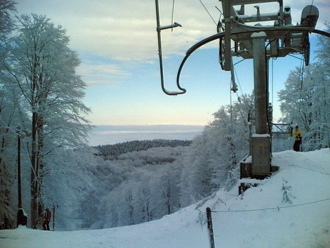 2007_11_17_bankut_1.jpg