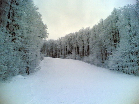 2007_11_17_bankut_2.jpg