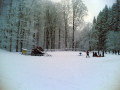 2007_11_17_bankut_3.jpg