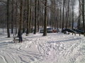 20120205386.jpg