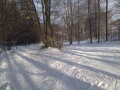20120205390.jpg