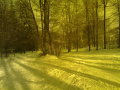 20120205391.jpg