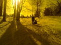 20120205392.jpg