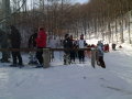 20120205399.jpg