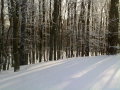 20120205428.jpg