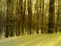20120205429.jpg