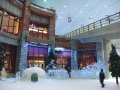 Dubai Ski Ar�na
