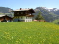 Berghof-sommer.JPG