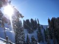 IMG-8012.jpg