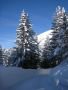 IMG-8016.jpg
