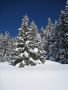 IMG-8018.jpg