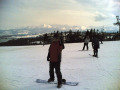 20080322005.jpg