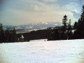 20080322010.jpg