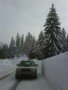 800-IMG00415-20120210-1428.jpg