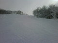IMG00408-20120210-1254.jpg