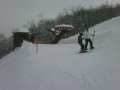 IMG00410-20120210-1255.jpg