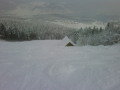 IMG00411-20120210-1255.jpg