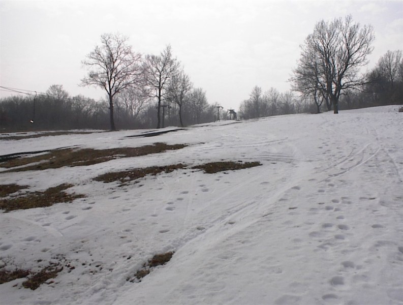 DSC00013.jpg