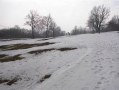 DSC00013.jpg