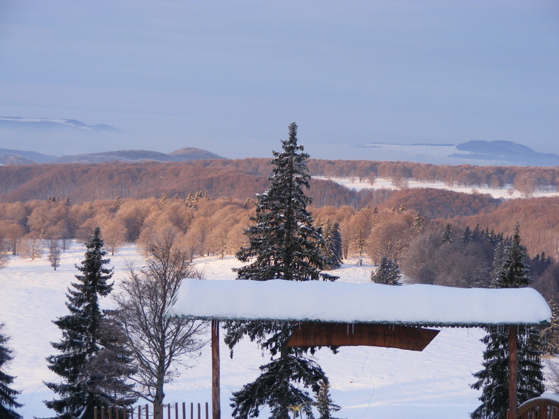 DSCF4207.JPG