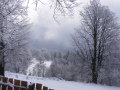 DSCF4160.JPG