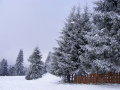 DSCF4170.JPG