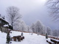 DSCF4173.JPG