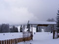 DSCF4176.JPG