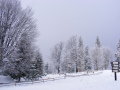 DSCF4180.JPG
