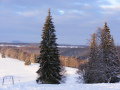 DSCF4211.JPG