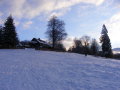 DSCF4217.JPG