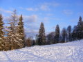 DSCF4223.JPG