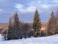 DSCF4225.JPG