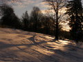 DSCF4228.JPG