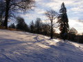 DSCF4229.JPG