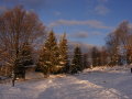 DSCF4235.JPG