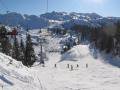 Bohinj - Vogel&nbsp;(8 k�p)