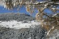 bormio19.jpg